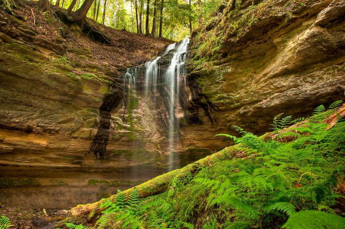 Twin Waterfalls Memorial Plant Preserve